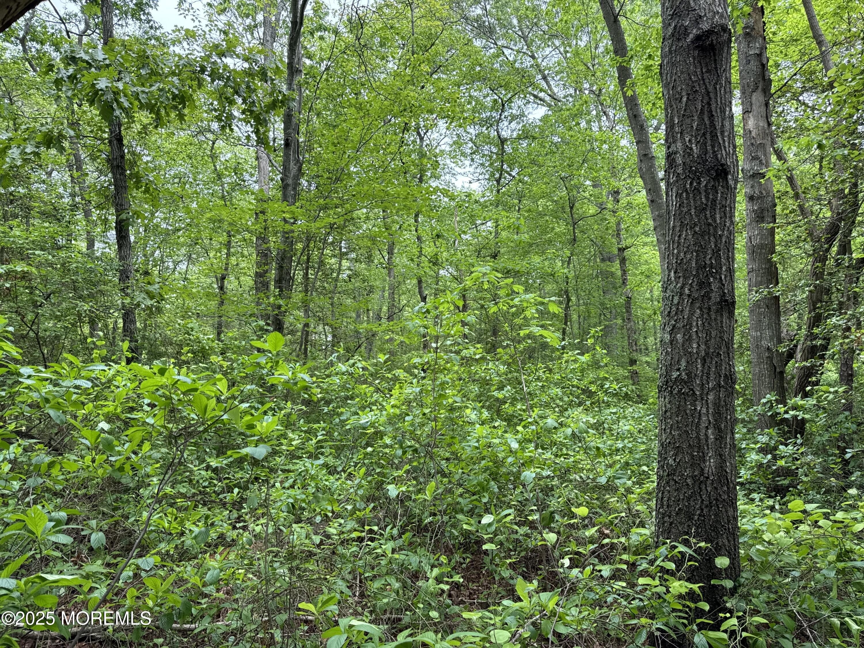 Currently Displayed Property Photo