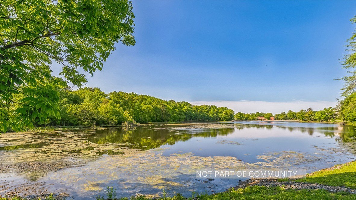 Currently Displayed Property Photo